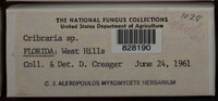 Image Associated With the Occurence